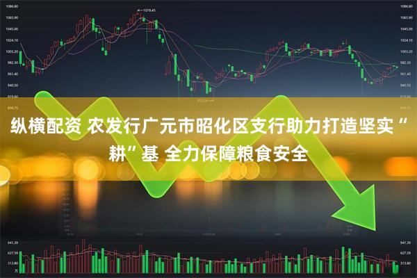 纵横配资 农发行广元市昭化区支行助力打造坚实“耕”基 全力保障粮食安全